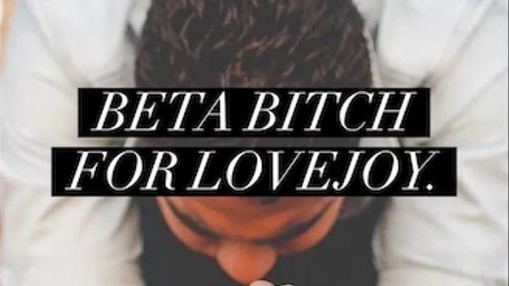 Beta Bitch For Dr Lovejoy