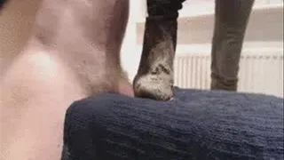 Crushing Cock in Muddy Boots