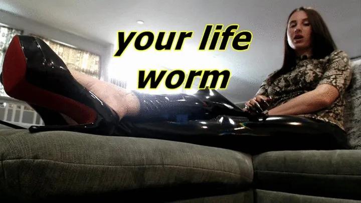 your life worm