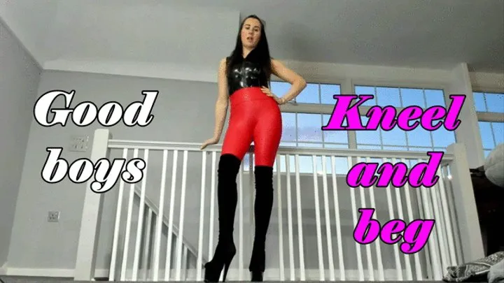 Good boys kneel and beg