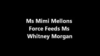 Ms Mimi Melons FEEDS Whitney