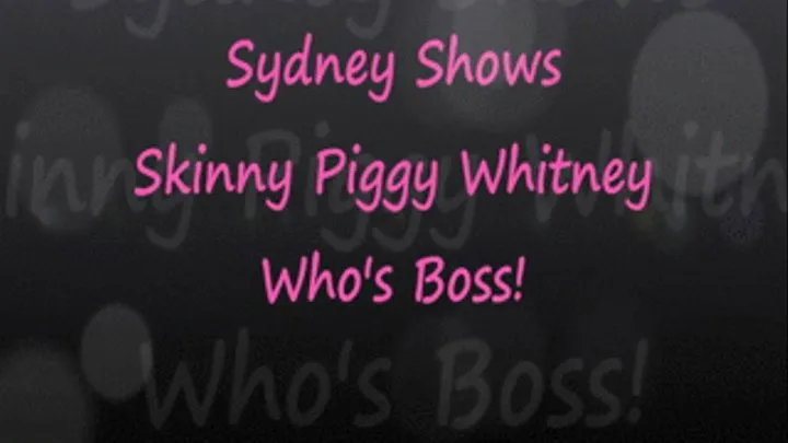 Sydney Piggy Noses Whitney