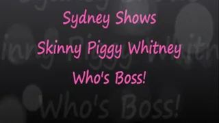 Sydney Piggy Noses Whitney
