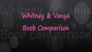 Whit & Vanya - Boob Comparison