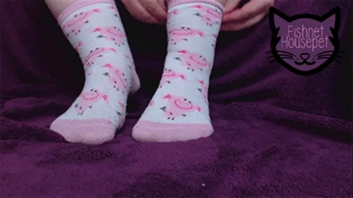 Piggy Little Feet