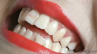 Terrifying Teeth