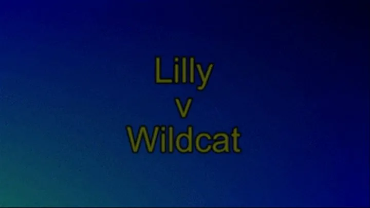 Lilli vs Wildcat