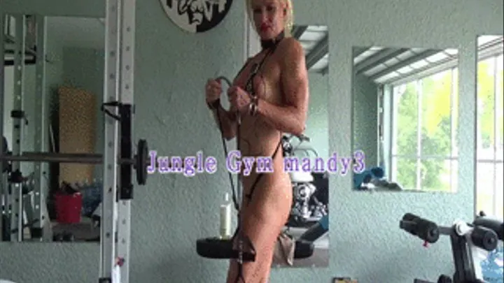 Jungle Gym Mandy 3