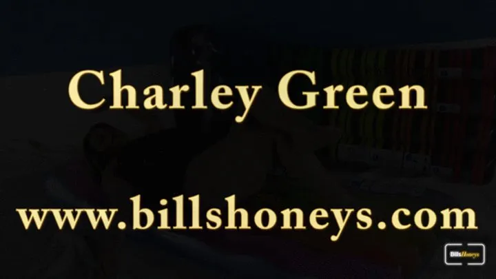 Charley Greens Inflatables