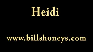 Heidi Harper Cleaning Service