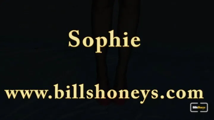 Sexbot Sophie