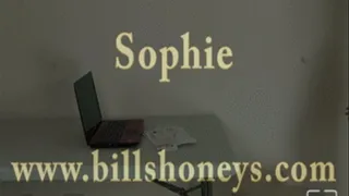 Sophie Tax Inspection