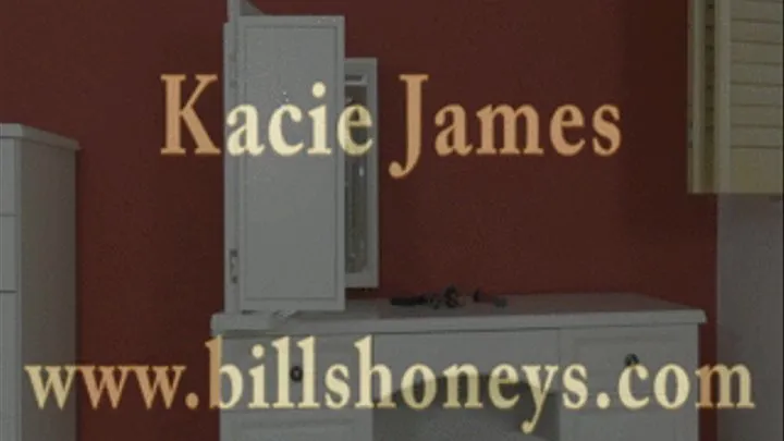 Kacie James The Vampire Hunted