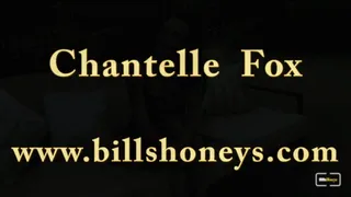 Chantelle Fox In Fashion Complete