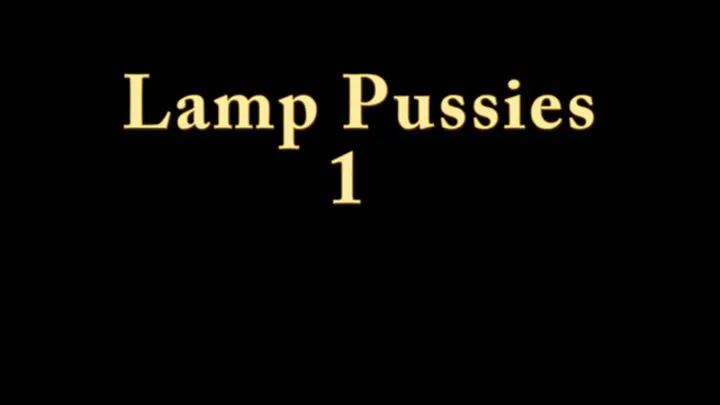 Lamps And Pussies 1