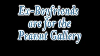 Ex-Boyfriends and the Peanut Gallery
