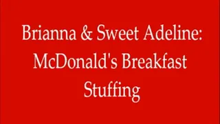 Sweet Adeline & Brianna: McDonald's Breakfast Stuffing!!