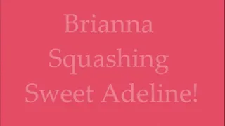 Super Sized Squashing: Squashing Sweet Adeline!