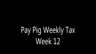 Pay Pig Weekly Tax Week 12