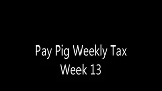 Pay Pig Weekly Tax Week 13