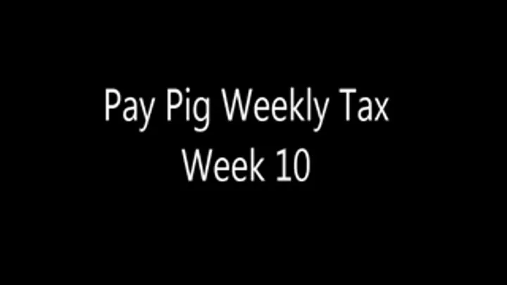 Pay Pig Weekly Tax Week 10