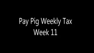 Pay Pig Weekly Tax Week 11