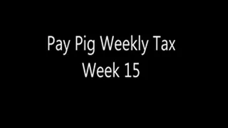 Pay Pig Weekly Tax Week 15