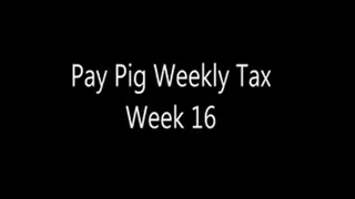 Pay Pig Weekly Tax Week 16