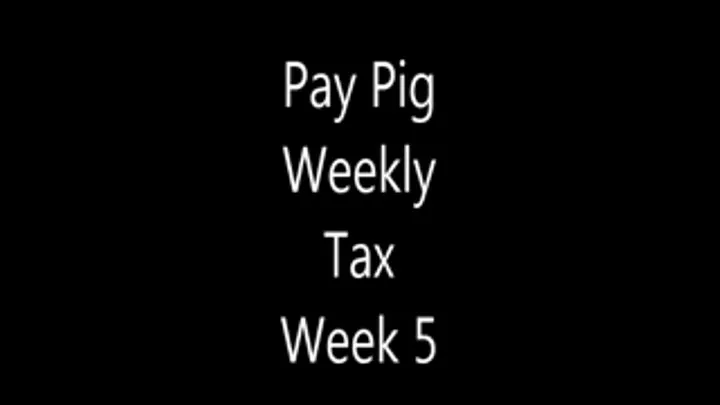 Pay Pig Weekly Tax Week 5