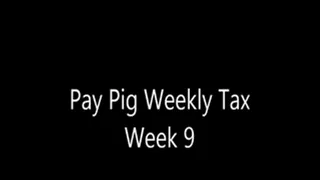 Pay Pig Weekly Tax Week 9