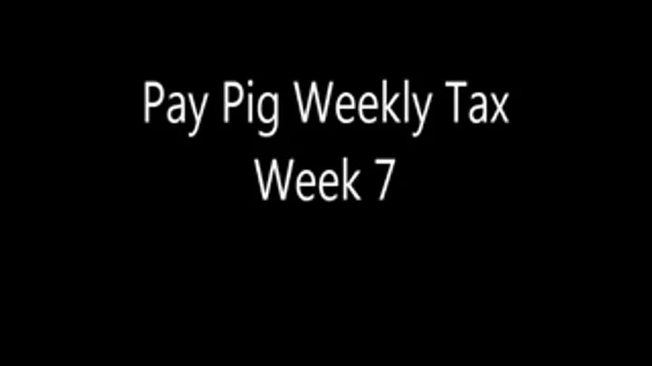 Pay Pig Weekly Tax Week 7