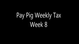 Pay Pig Weekly Tax Week 8