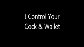 I Own Your Cock & Wallet