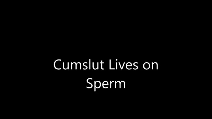 Cumslut Lives on Sperm