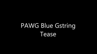 PAWG Blue Gstring Tease
