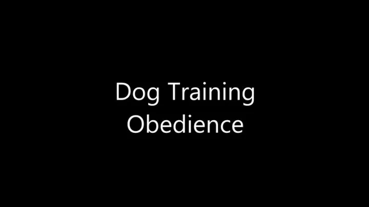 Pet Training Obedience