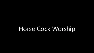 Horse Cock Worship