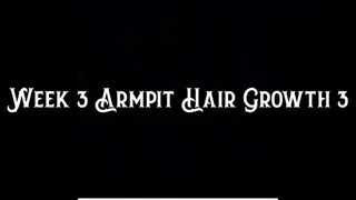Week 3 Armpit Hair Growth 3