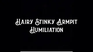 Hairy Stinky Armpit Humiliation