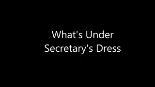 What's Under Secretary's Dress