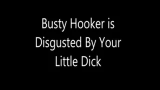 Busty is Disgusted By Your Little Dick