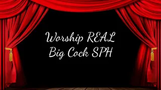 Worship REAL Big Cock SPH