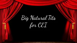 Big Natural Tits for CEI