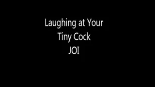 Laughing at Your Tiny Cock JOI