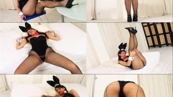 Flirty Bunny Shakes her Booty!