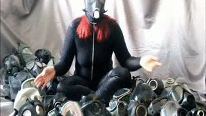 My collection Gas Masks! (0005GM)