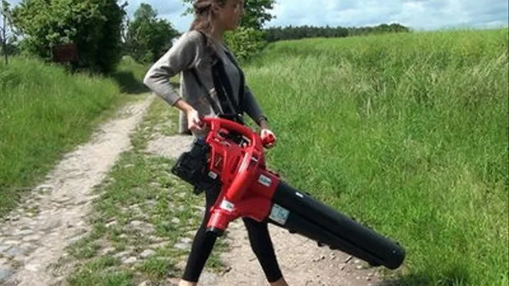 The Leaf Blower Experiment