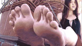 Michelle's Big Smelly Feet Size 10