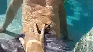 Underwater Handjob & Blowjob in Pool