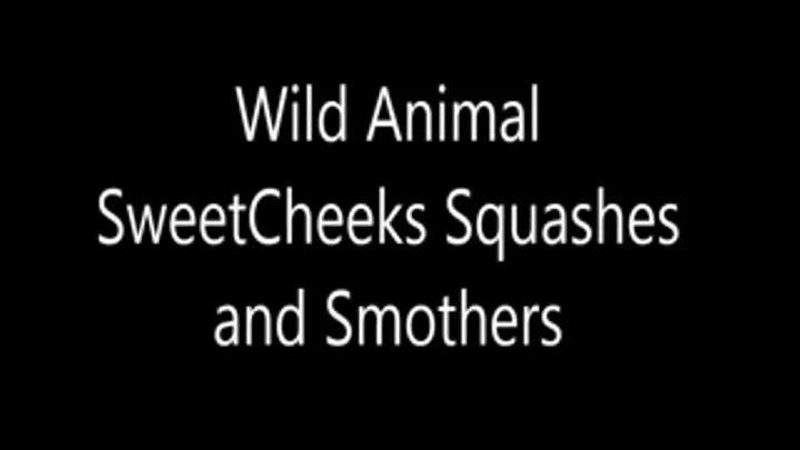 Wild SweetCheeks Squashes and Smothers98